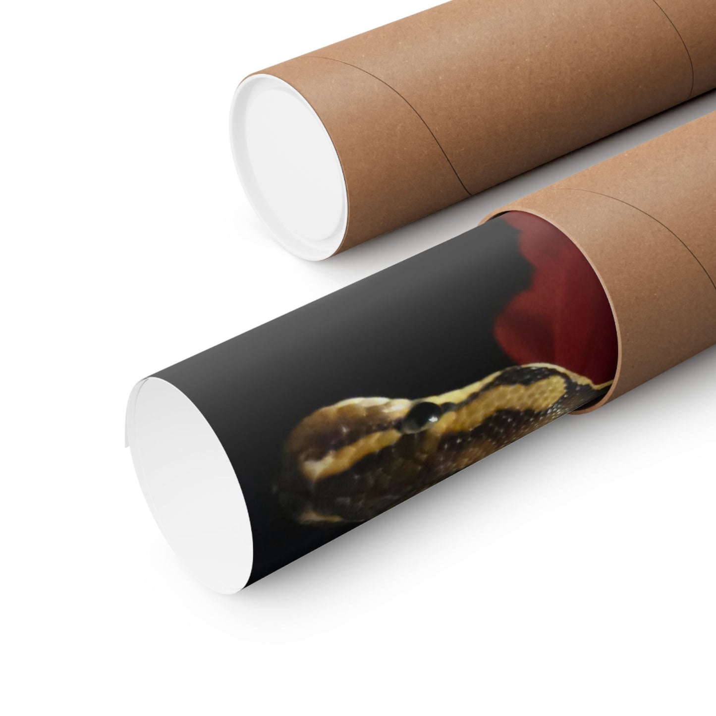 1a Matte Vertical Posters